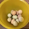 ramazantoplglu