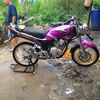 jonespurba9831