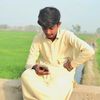 ab_ghaffar_banglani