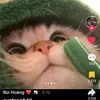 tolatienbao1