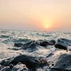 www.tiktok.coper