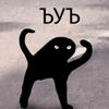 vyacheslav8642
