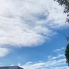yoyoyoyo1127