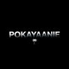 pokayaanie