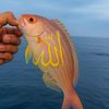 omar237899
