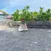 memeochip