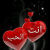user597255854987