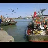 mohamedlarach7