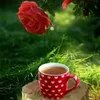 lamy_lami