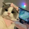 _iamkifwiyen.09