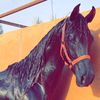 9cdwbmt6e
