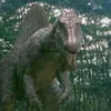 spinotrex