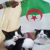 cathy.snouci