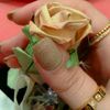 djfbbnjc.bc