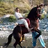 zafarhussain565