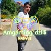 amgaming_dz15