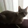 lvaroagsfernndez