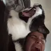 patr1ck.mg
