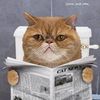 The Meow Times