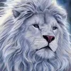azizi_sahib26