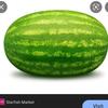 water_melon.friends