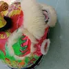 thaitannhat