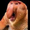 capy_enjoyer69
