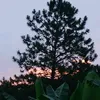 tainabarrena