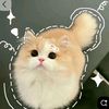 lin_1830