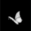 ro_sm14