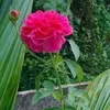 hayzindagi62