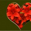 userwblqr5suad