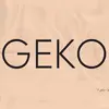 geko11.11