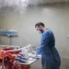 mohammed_awad_braq