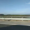 tomiuthobong