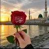 sofia.imran76