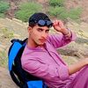 anm.shenwari