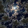 dim7yy