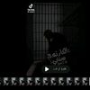 zy_dt