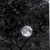 love_katseye
