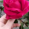 9ty_we