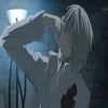 meiji_dz4i