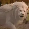 mansurscater