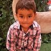 josetobay648