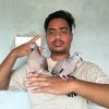 🕊️পাখির প্রেম🕊️