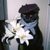 apiker_