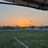 talia_370