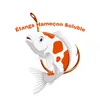 etangshameconsoluble