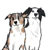 dozypawz