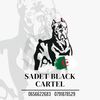 SADET BLACK  CARTEL DZ